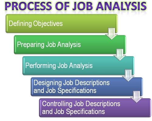 6 Steps Of Job Analysis