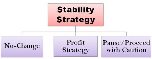 What Is Stability Strategy With Example