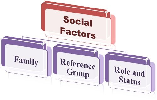 what-are-social-factors-influencing-consumer-behavior-business-jargons