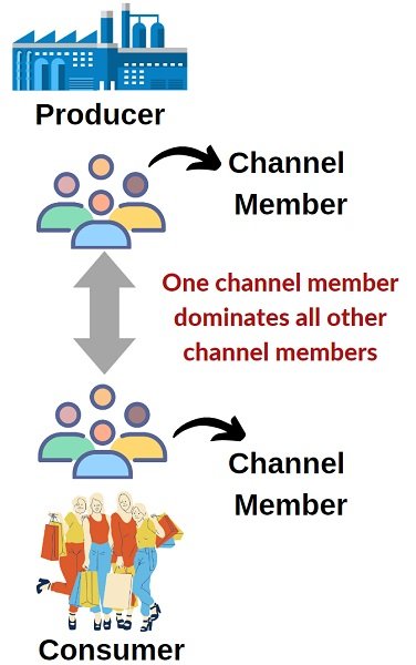 what-is-vertical-marketing-system-types-and-example-business-jargons