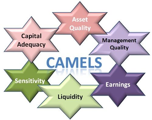 CAMELS Rating System: Meaning, Background, Components