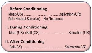 conditioning theory dog he thus classically