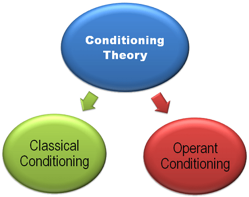 What is Conditioning Theory? definition and meaning - Business Jargons