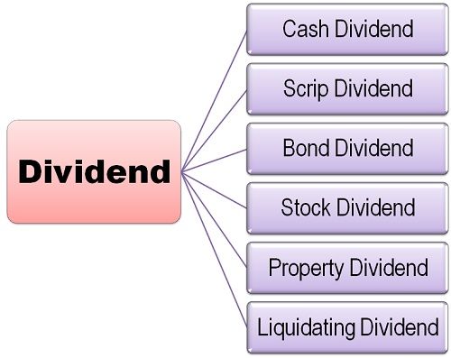 what-are-the-types-of-dividend-business-jargons