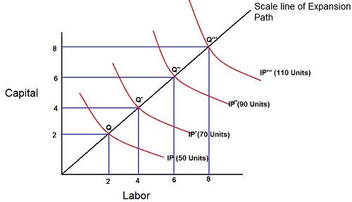 Linear Homogeneous production function