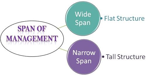 Span of management