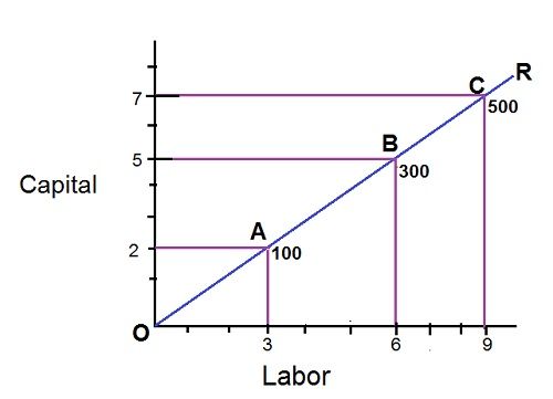 fixed proportions production function