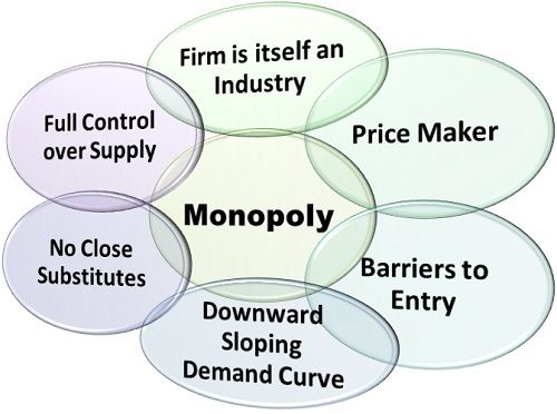 Monopoly in Economics, Definition, Characteristics & Types - Video & Lesson Transcript