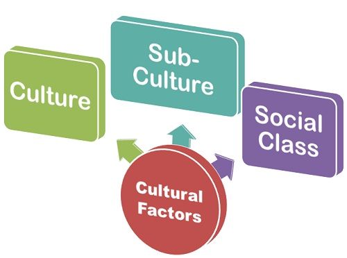 What Are Cultural Factors Influencing Consumer Behavior