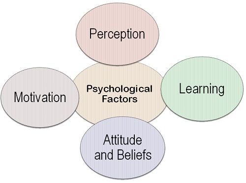 What factors influence the choice. Psychological Factors. Social Factors. What is Perception. The Perception process.