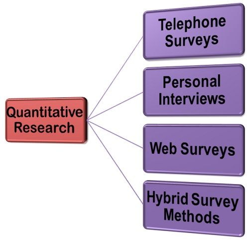 quantitative research definition english