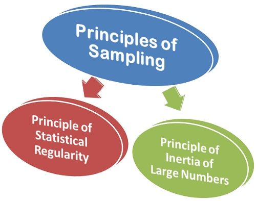 What are the principles of Sampling?- Business Jargons