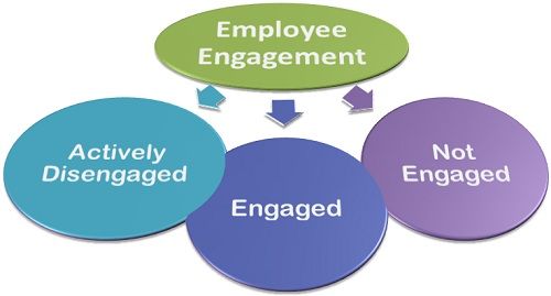 what-are-the-types-of-employee-engagement-business-jargons