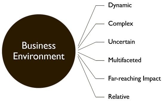 business environment diagram