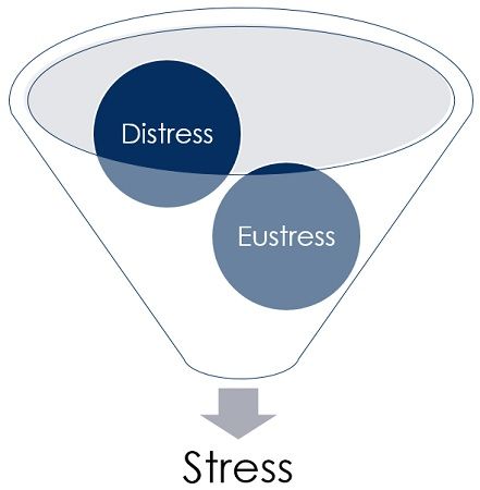 Stress Strain and Young39s Modulus