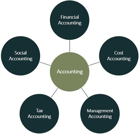 branches of accounting