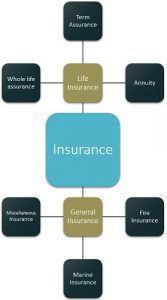 What is Insurance? definition, types and principles - Business Jargons.