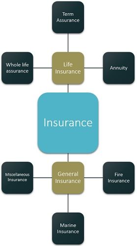 What is Insurance? definition, types and principles | All things here