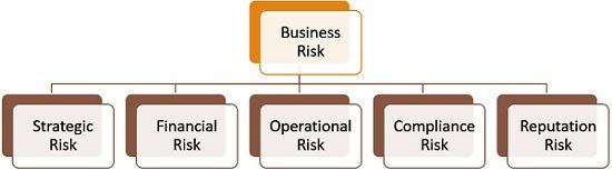 types of business risk