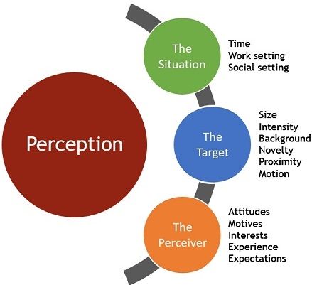 visual perception definition psychology