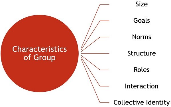 characteristics-of-group