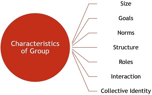 Examples of the Characteristics in Each Category