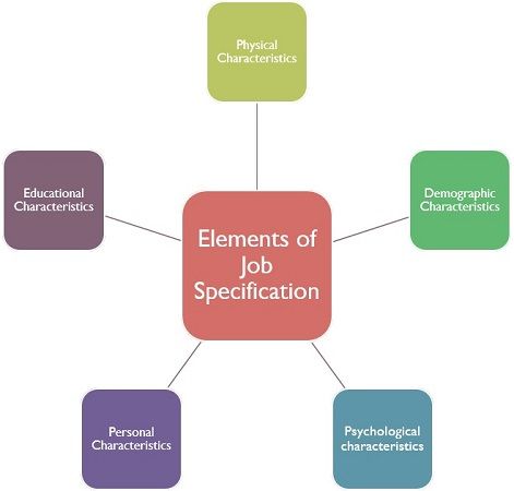 What Is Job Specification Definition And Elements Business Jargons   Elements Of Job Specification 