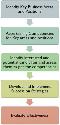 what-is-succession-planning-process-and-steps-to-take-hire-success