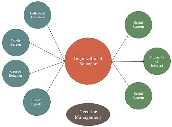 What is Organizational Behaviour? definition and basic assumptions