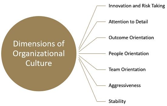 organizational culture dimensions
