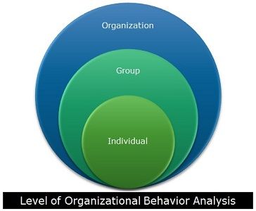 What is Organizational Behaviour? definition and basic assumptions