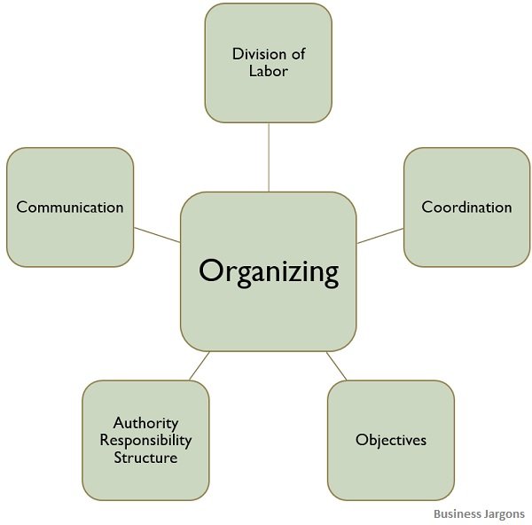 What is Organizing? definition, characteristics, process and