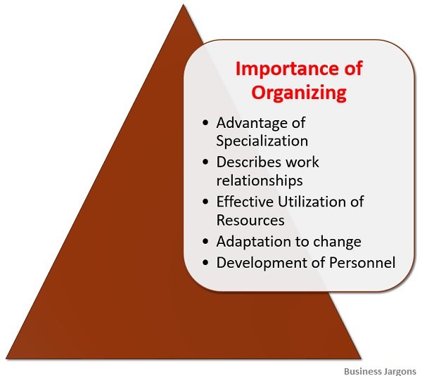 What is Organizing? Features, Process, Principles, & Importance