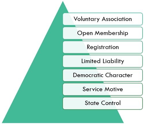 What Are The Characteristics Of Cooperative Society