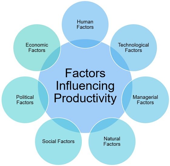 What Is Productivity and How to Measure It Explained