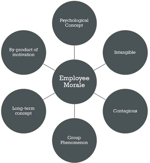characteristics-of-employee-morale
