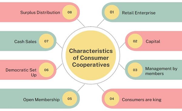 List Of Consumer Cooperative Society In India