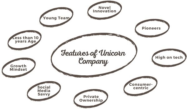 features-of-unicorn-company